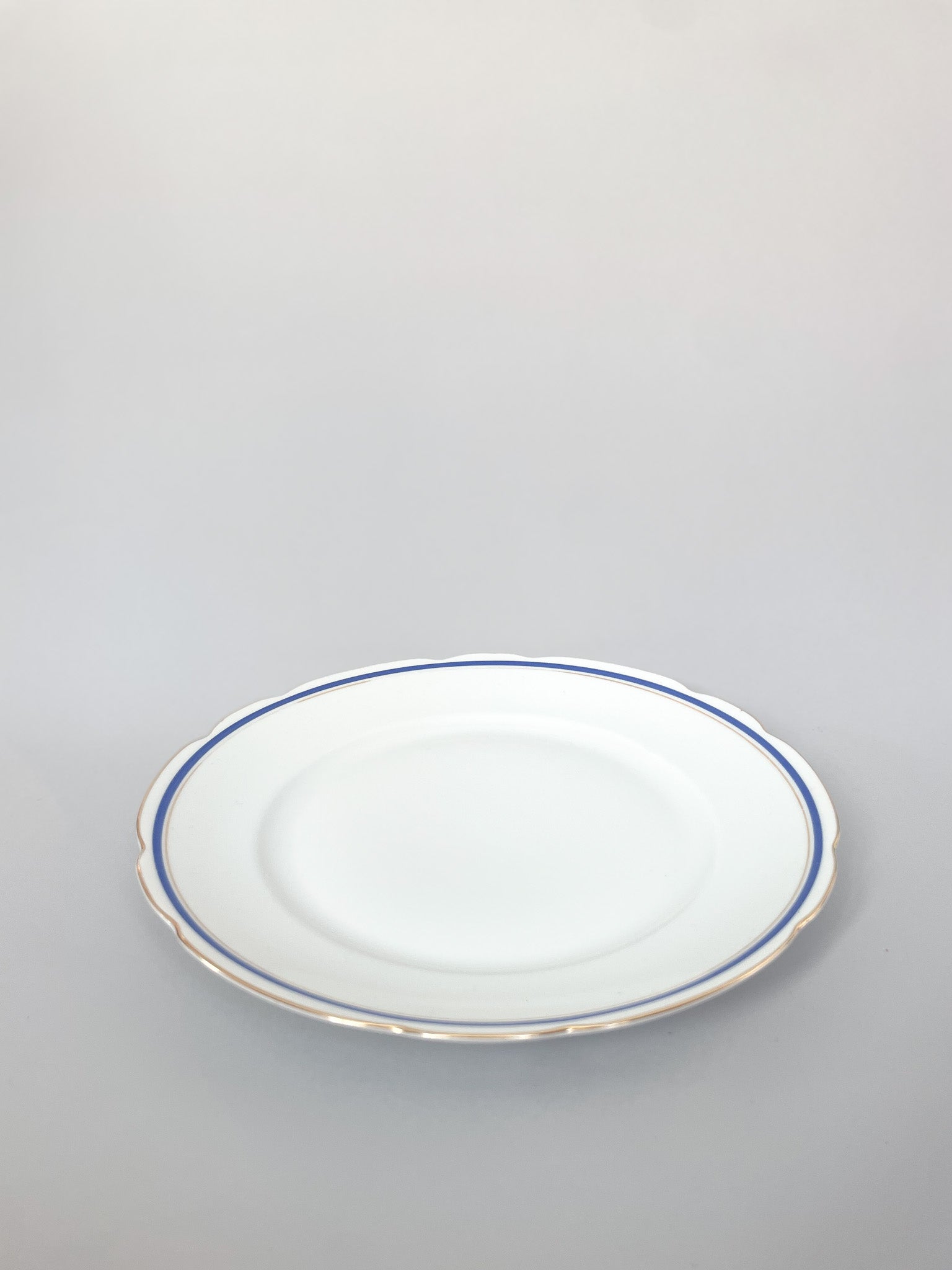 Talerz obiadowy z niebieskim złoconym rantem no.7